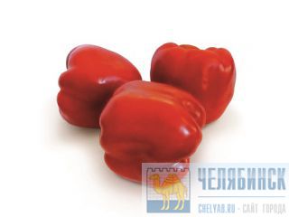 Семена сладкого перца KS 04 F1 фирмы Китано Челябинск
